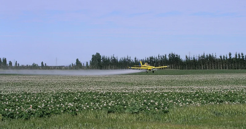 Tous les insecticides se valent-ils ? Ce que j'ai appris en comparant