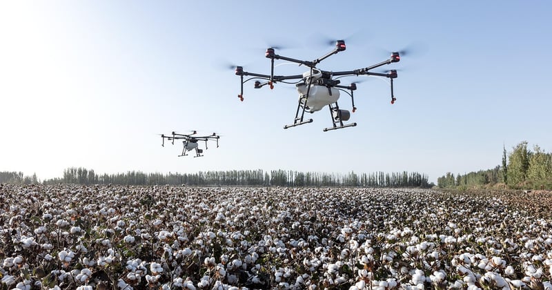 Pesticides agricoles : comment mieux protéger les femmes exposées