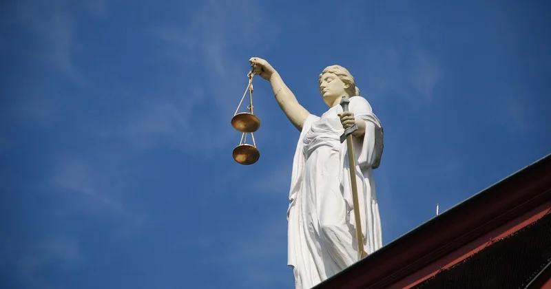 Quand la justice contraint l'État à agir sur les pesticides